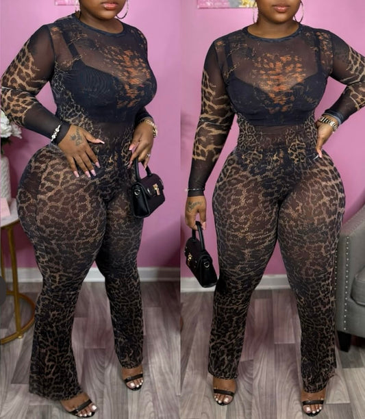 Untamed Pant Set